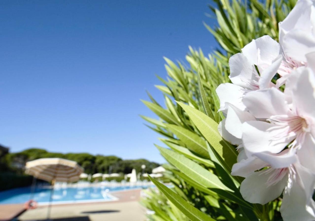 Isa-Apartments 4 Beds In Residence With Swimming-Pool In San Vincenzo, Just 600 Meters From The Sea Εξωτερικό φωτογραφία
